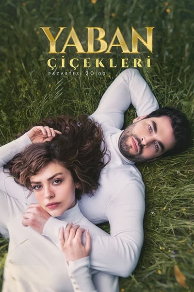 Yaban Cicekleri (Wild Flowers) ดอกไม้ป่า